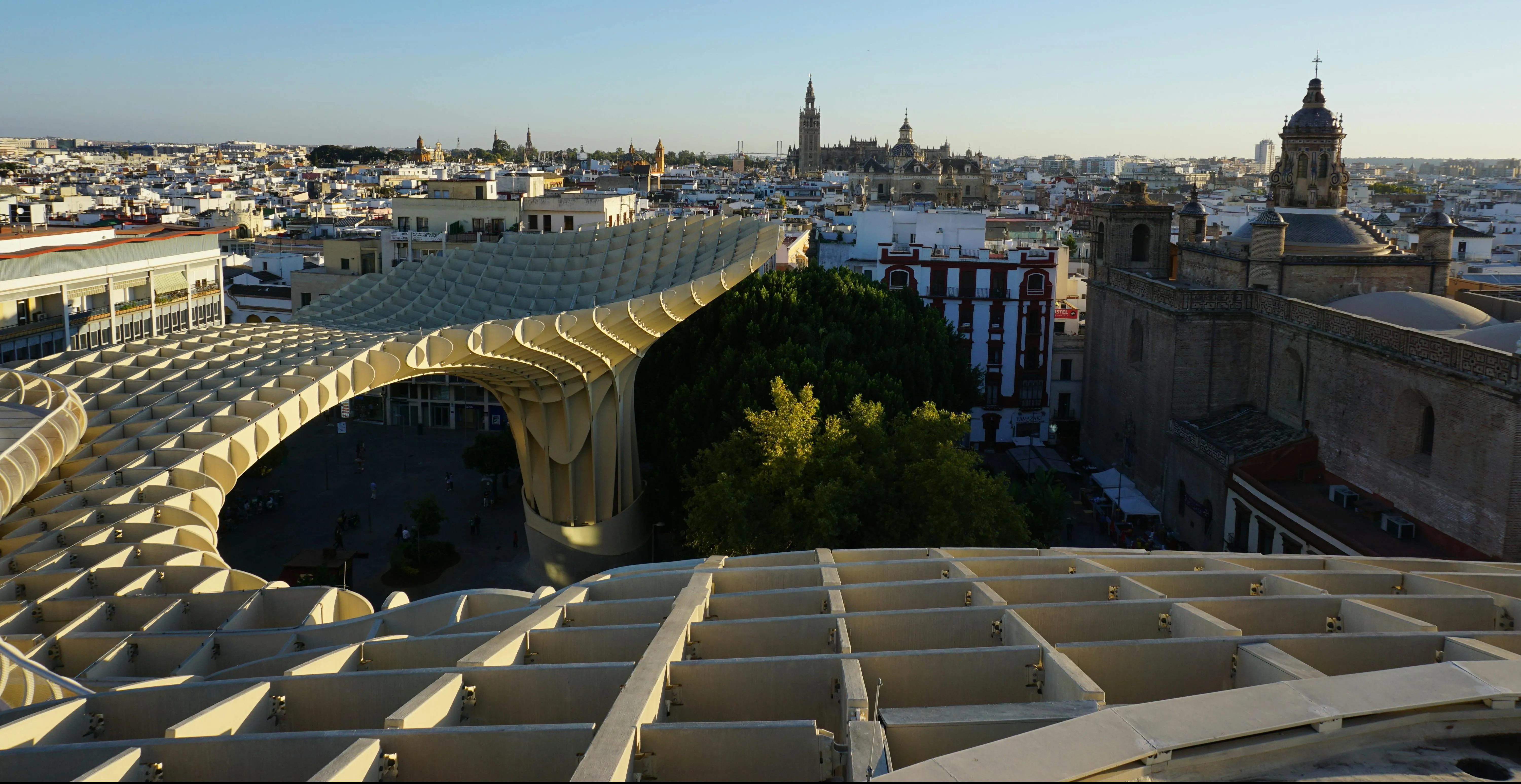 imagen tomada desde la cima de las setas de sevilla